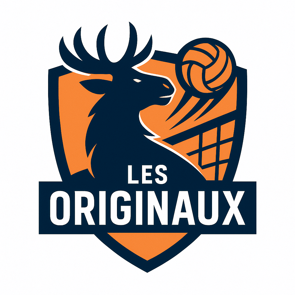 écusson équipe volley ball de Montréal