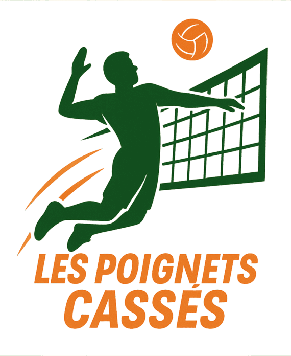 Logo équipe volley de Montréal