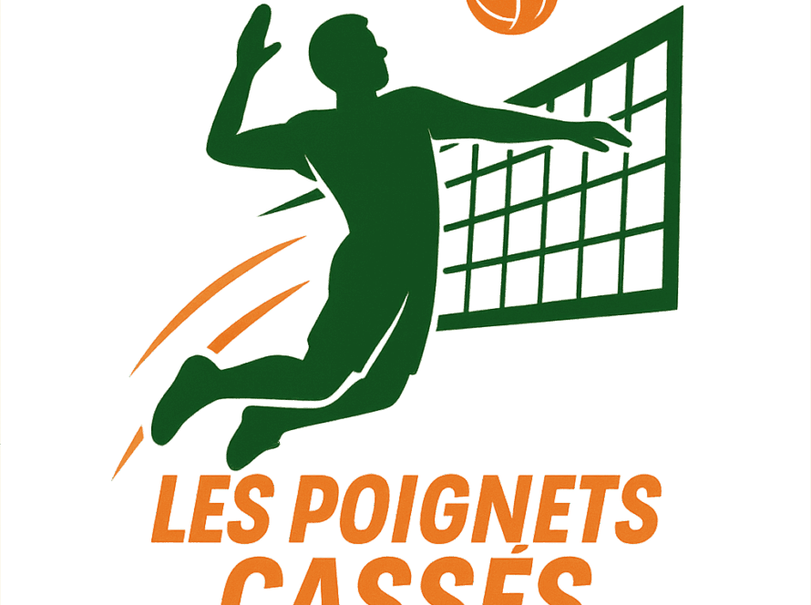 Logo équipe volley de Montréal