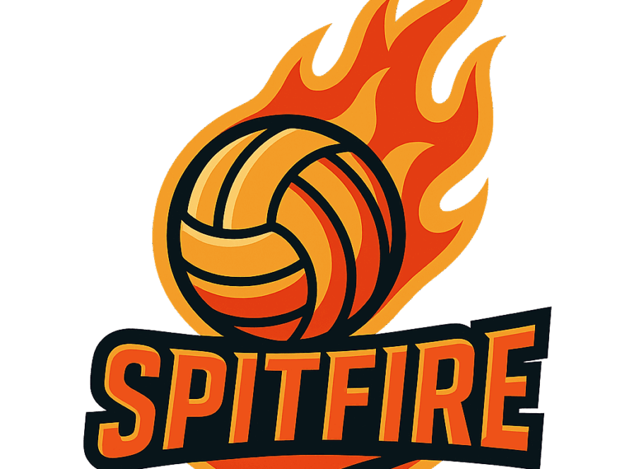 logo équipe volley de Laval