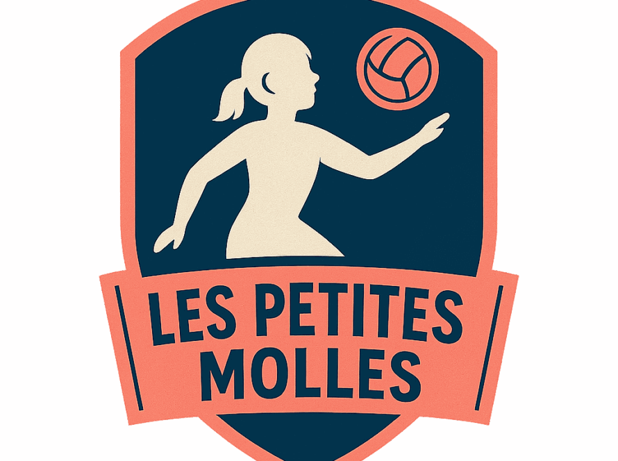 écusson équipe volleyball de Laval