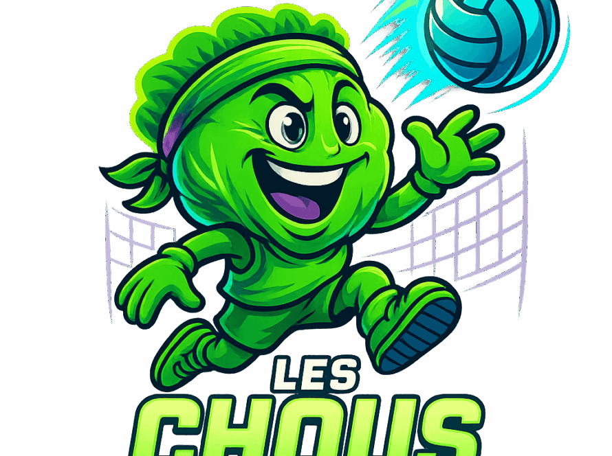 écusson équipe volley ball de Montréal