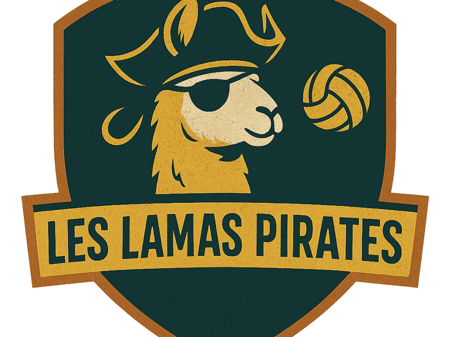 écusson équipe volley de Montréal