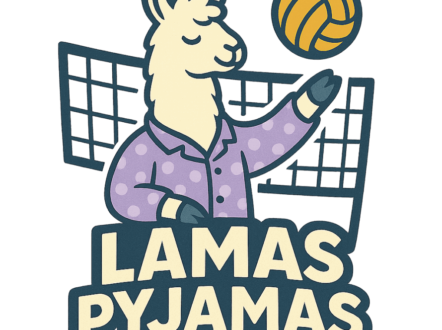 écusson équipe volley ball de Montréal