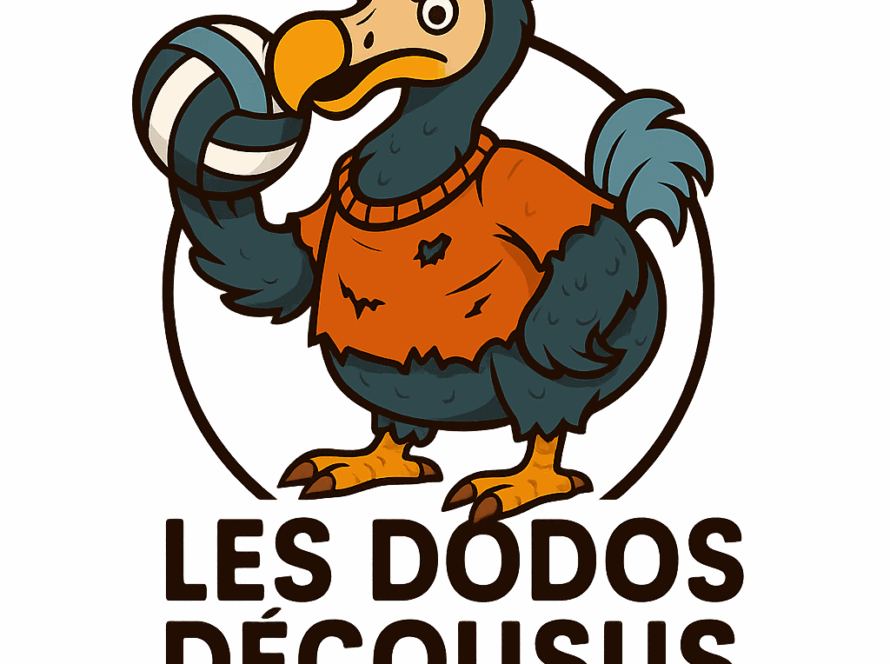 logo équipe volley de Laval