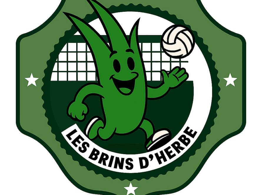 logo équipe volley de Montréal