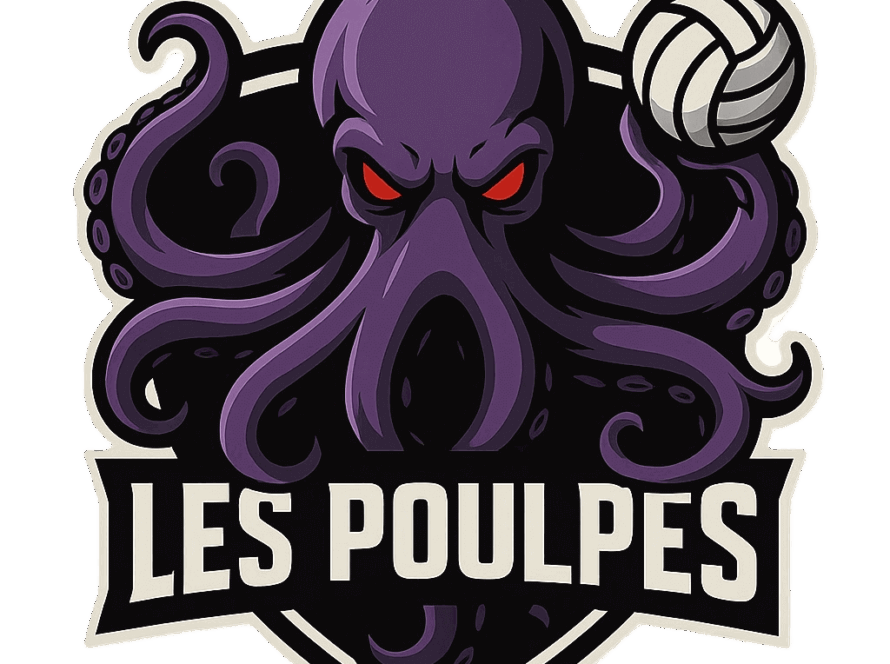 logo équipe volley de Laval