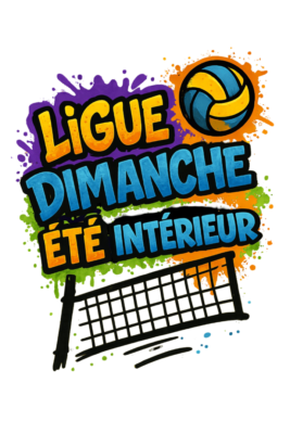 ligue d’été intérieure de volley